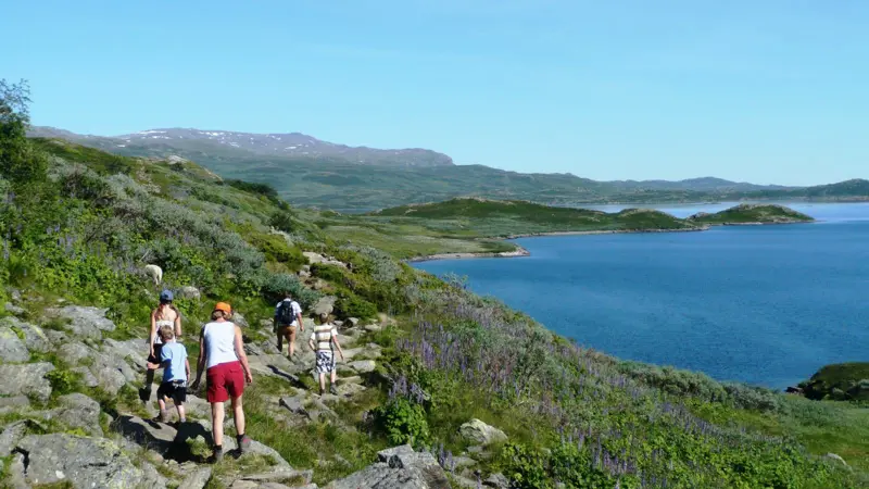 Familie på tur i sommerlig landskap.  Vann til høyre i bildet. Grønn , skrått, landskap til venstre.