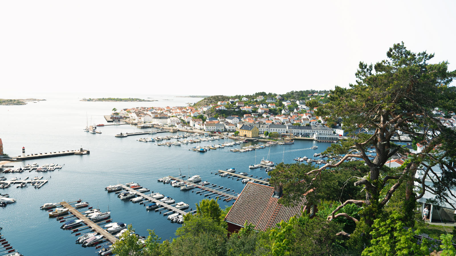 Utsikt over en havn med mange båter fortøyd.