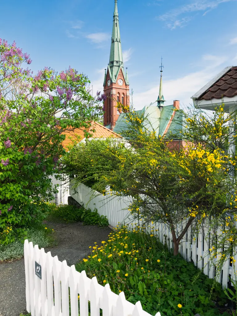 Arendal kirke i bakgrunnen, med bygninger, hager og siter i forgrunnen.