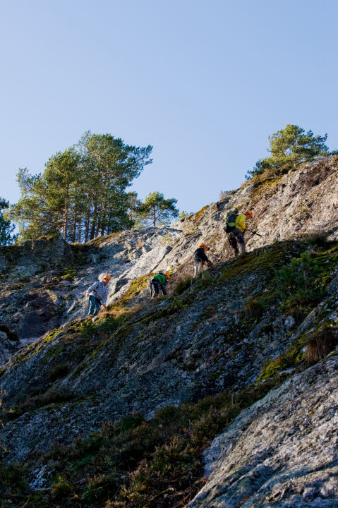 Gruppe mennesker klatrer opp en bratt skråning i skogen.