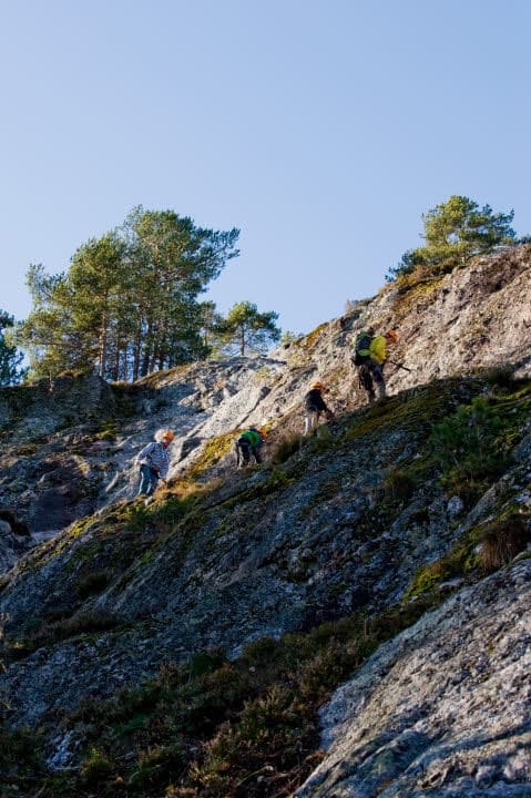 Gruppe mennesker klatrer opp en bratt skråning i skogen.