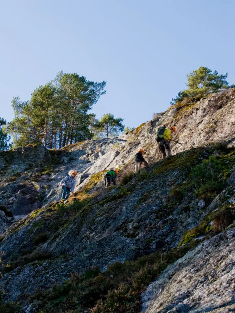 Gruppe mennesker klatrer opp en bratt skråning i skogen.