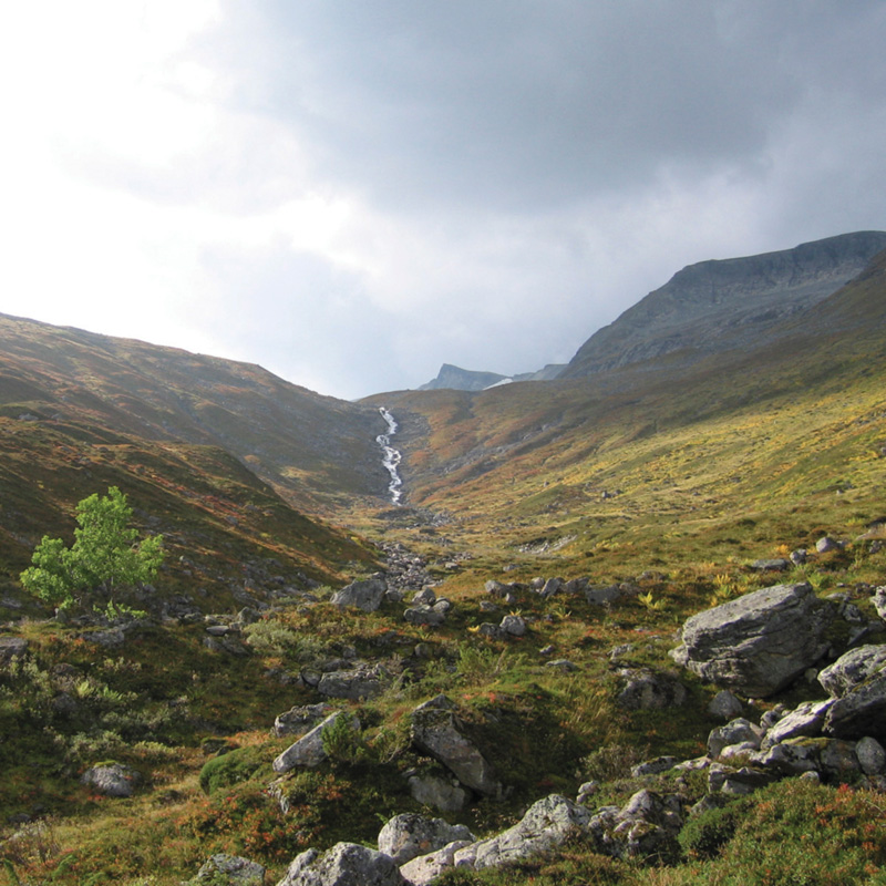 En steinete åsside med spredte trær og busker.