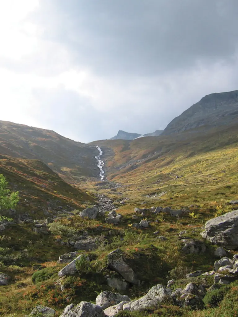 En steinete åsside med spredte trær og busker.