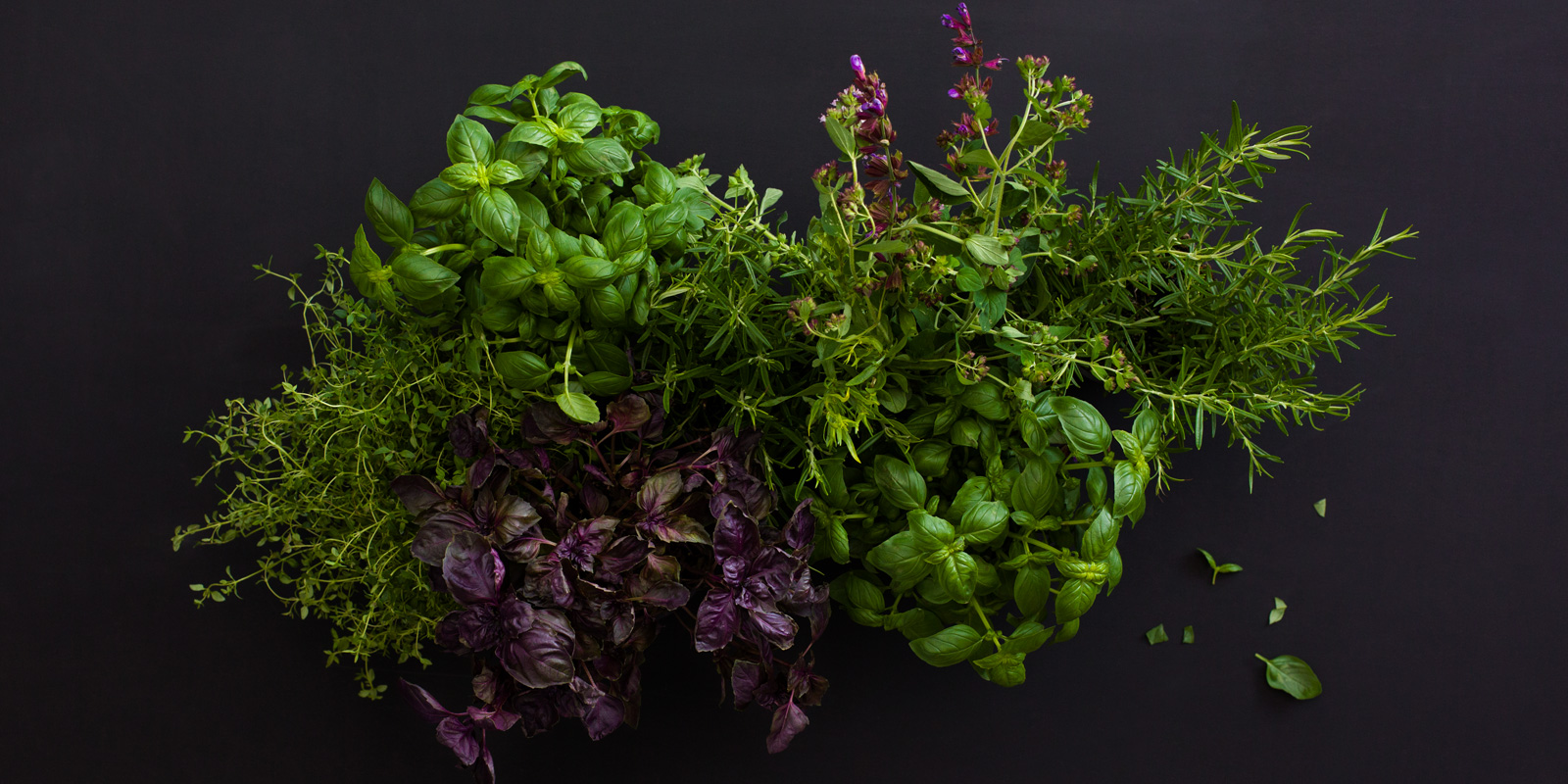 Thon Hotel Oslo Airport Brasserie Bassit