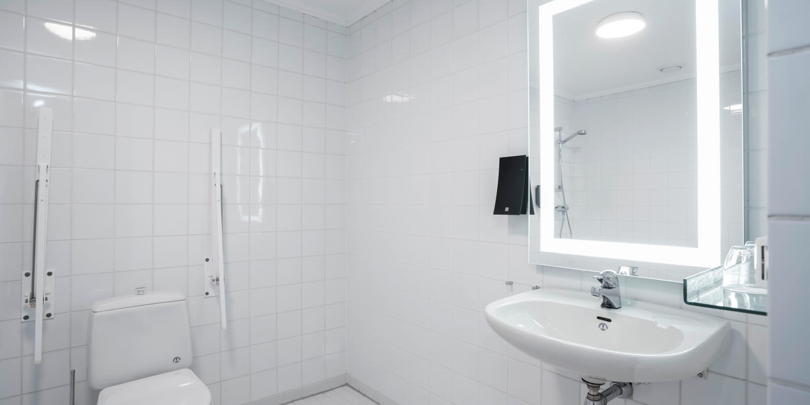 Toalett, speil og servant 