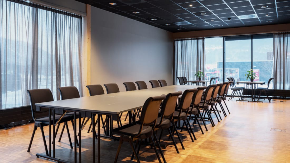 Solveig-møterom med langbord med 16 plasser + småbord med 4 sitteplasser langs vinduene. Vinduer på to sider.