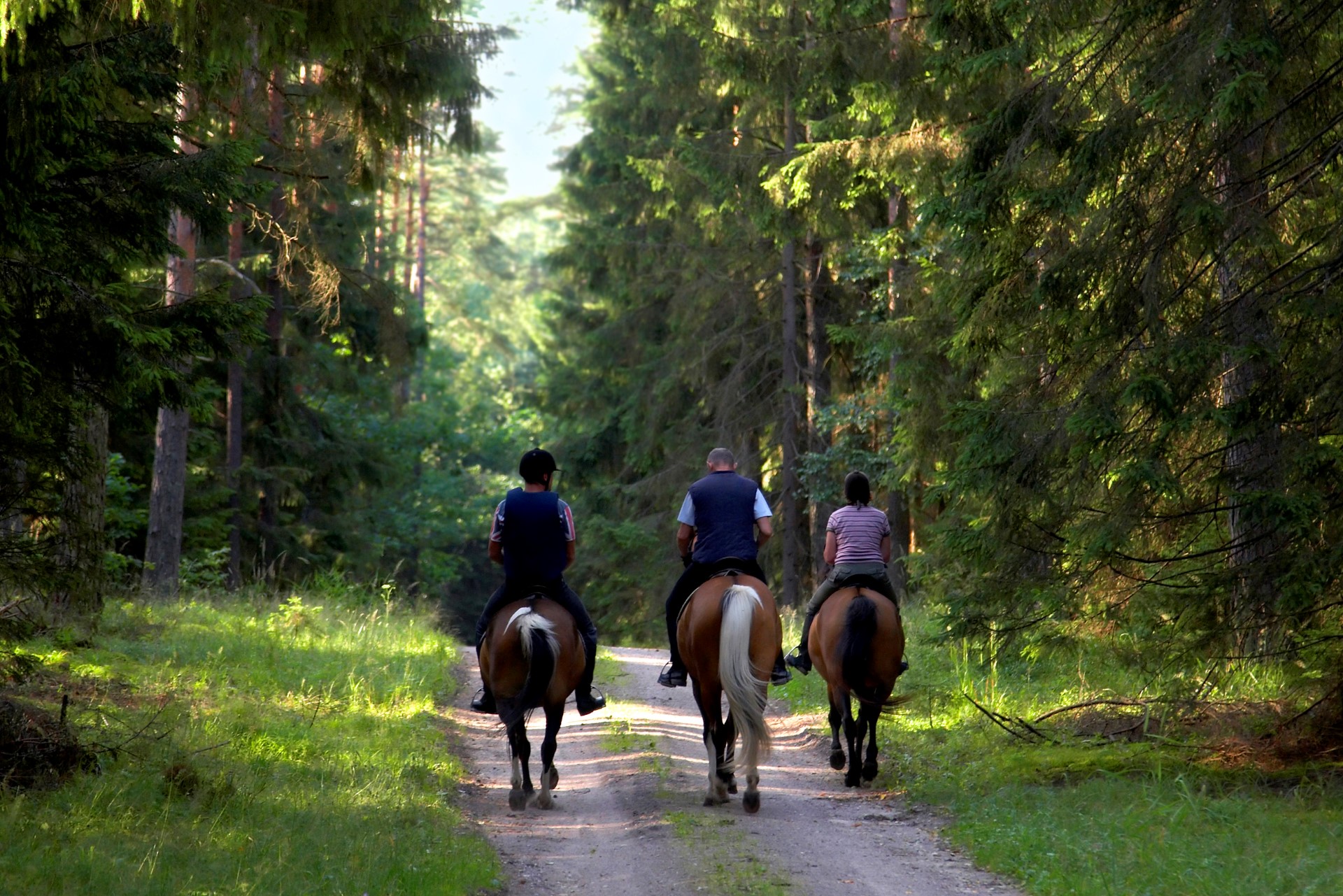 Tre personer på ridetur i skogen
