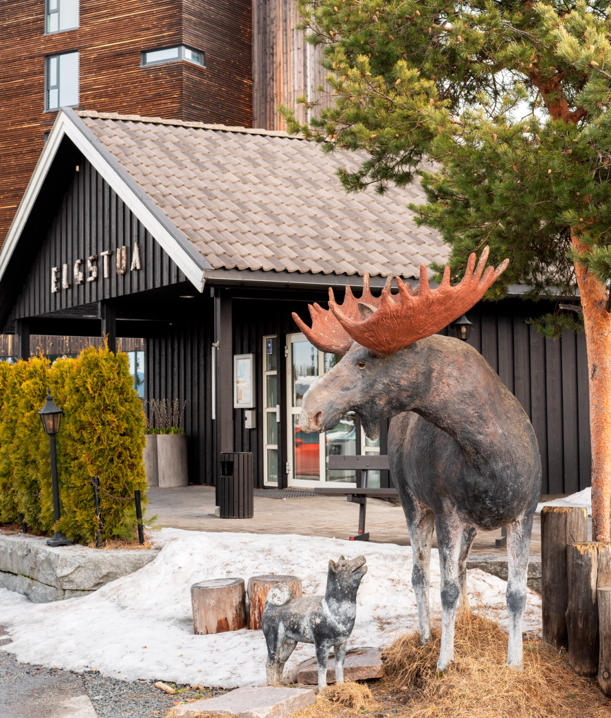 Inngangen til Thon Partner Hotel Elgstua med en elgstatue til høyre for inngangen. 