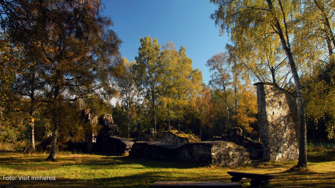 Munkeby klosterruiner med bjørketrær i høstfarger rundt seg.