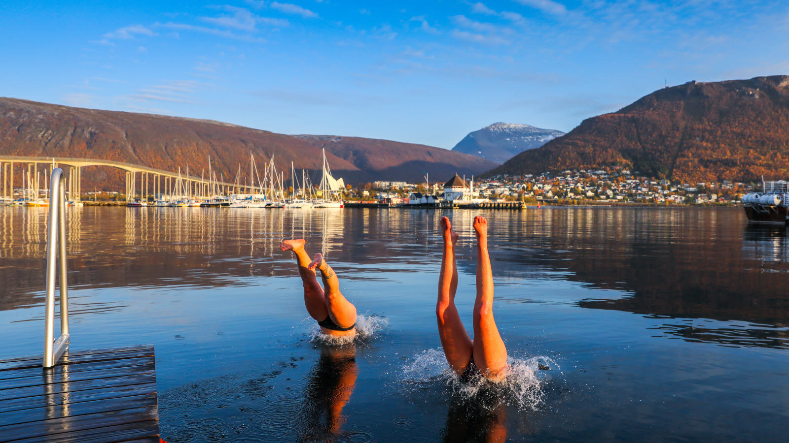Bena til to kvinner stikker opp av vannet under et stup fra ei brygge en solskinnsdag i indre havn i Tromsø. I bakgrunnen ses Tromsøbrua, Ishavskatedralen og brune fjell, noen med snø på toppen.