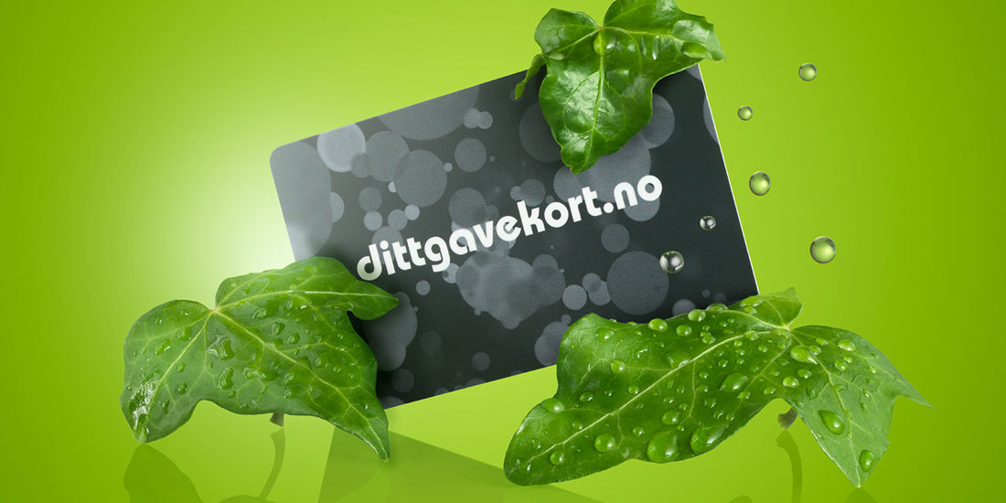 Gavekort