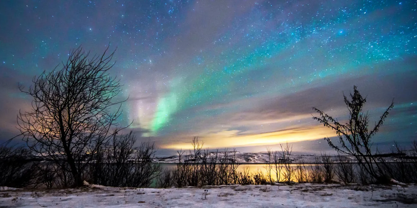 Rosa og gr&oslash;nt nordlys over en stjerneklar himmel med vinterlandskap og tr&aelig;r i front.